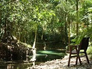 Daintree Wilderness Lodge 3*,  Australia