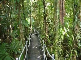 Daintree Wilderness Lodge