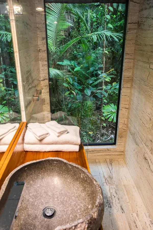 Daintree Wilderness Lodge Resort