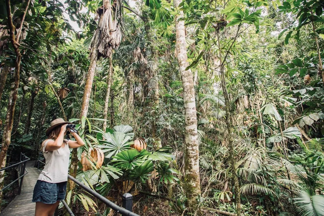 Daintree Wilderness Lodge