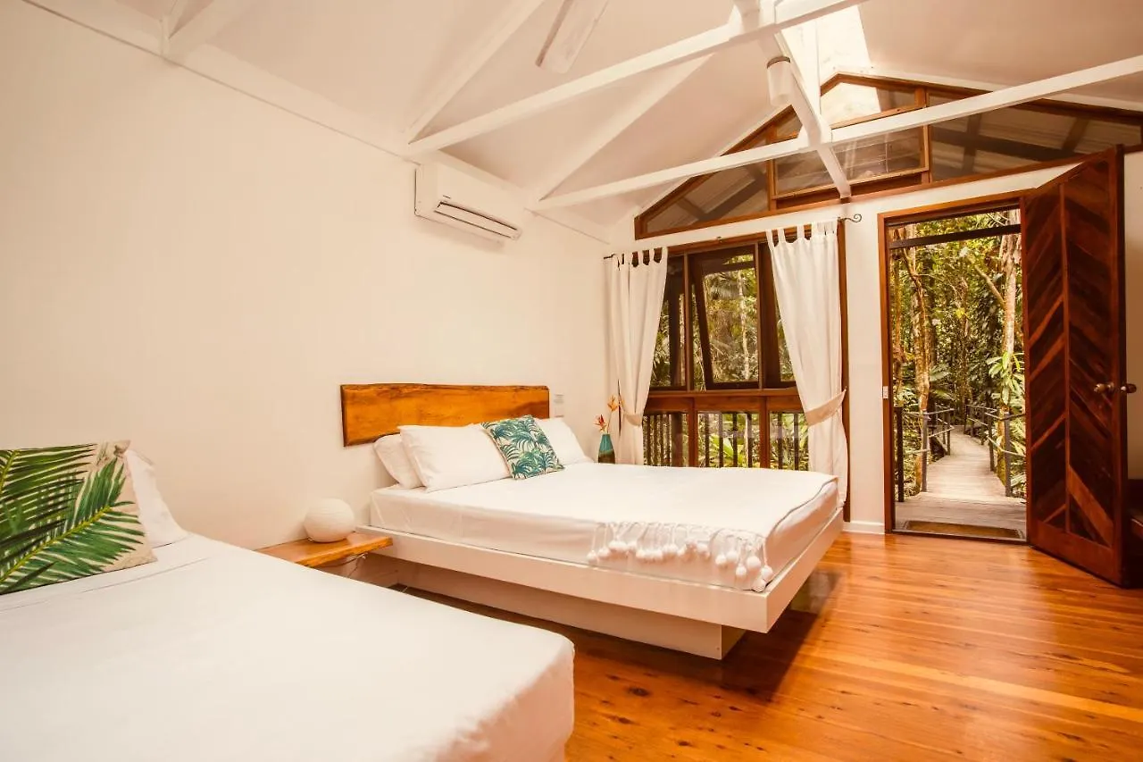Resort Daintree Wilderness Lodge