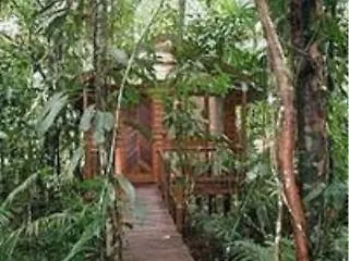 Resort Daintree Wilderness Lodge