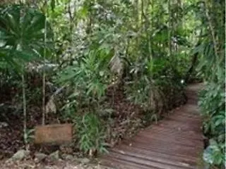 Resort Daintree Wilderness Lodge